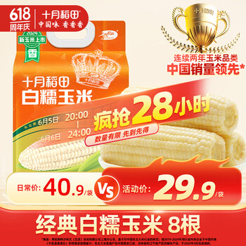 十月稻田 SHI YUE DAO TIAN 白糯玉米 4.16斤(260g*8根) 东北甜黏玉米棒 早餐苞米