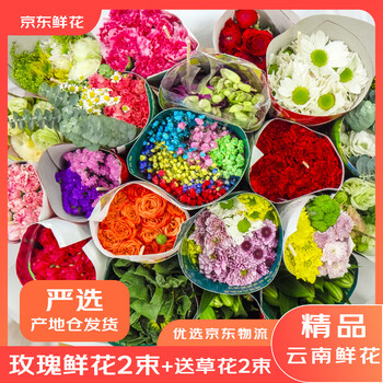 移动端、京东百亿补贴：京东鲜花 玫瑰花买10支送10支 实惠价