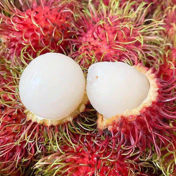 红毛丹当季新鲜水果毛荔枝鲜甜多汁果肉厚顺丰包邮5斤净重