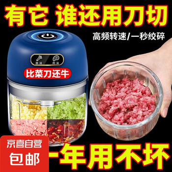 电动蒜泥器捣蒜器打蒜辣椒蘸料厨房绞肉机小型 3叶刀260ML+德芯电机+钛金刀头