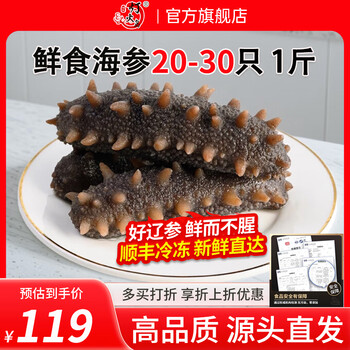 灯火岛 鲜食海参 1斤装（20-30只）