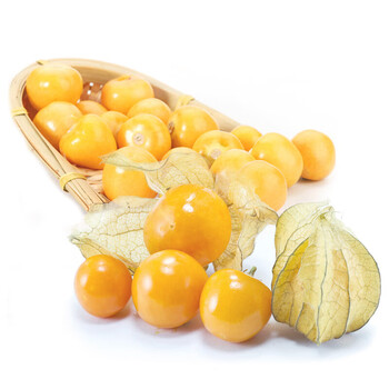 新鲜黄姑娘果 东北灯笼果小花菇娘水果菇蔫儿 4斤