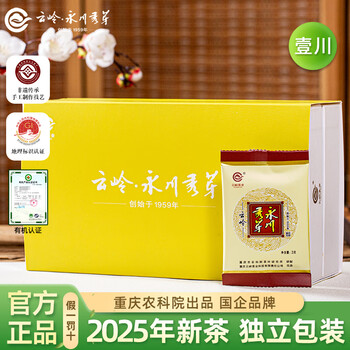 云岭茶业永川秀芽 2025年新茶茶叶明前绿茶重庆特产(一川)90g礼盒款