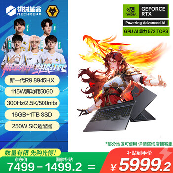 机械革命蛟龙16Pro 2025 16英寸游戏电竞笔记本电脑(R9-8945HX 16G 1T RTX5060 300HZ 2.5K 灰)