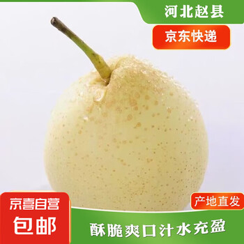 京喜加赵州水晶鸭梨新鲜水果产地直发【六】单果180g起 带箱4斤特惠装(净重3.5斤)