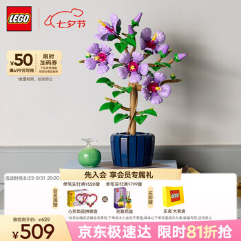乐高(LEGO)积木拼装10372 芙蓉男孩女孩玩具七夕情人节礼物