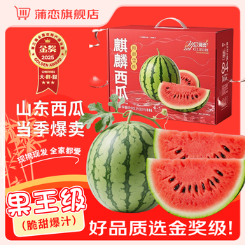 蒲恋 麒麟西瓜新鲜水果当季现摘8424脆甜多汁整箱 净重5-6斤丨独立气泡柱/更
