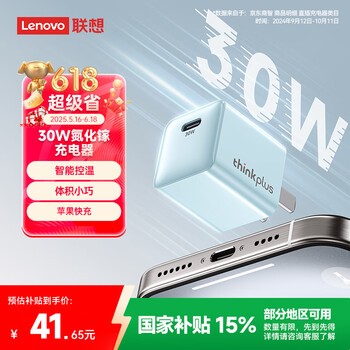 thinkplus 口红电源 30W氮化镓充电器 Type C