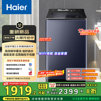 海尔(Haier)波轮洗衣机全自动懒人家用 12kg大容量 直驱一级能效 家电国家补贴20%手搓精华洗XQB120-BSE35DU1