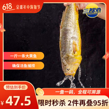 三都港 深海有机宁德大黄花鱼500g