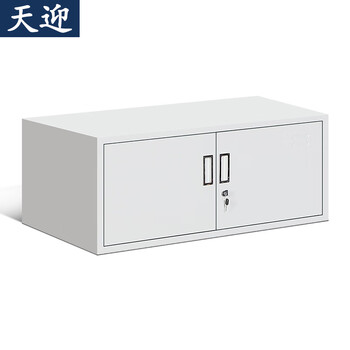 天迎文件柜铁皮柜钢制办公柜储物柜带锁单节档案柜TY-WJ1505