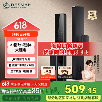 德施曼 智能门锁密码锁入户门 电子锁家用防盗指纹锁 小嘀 Q2P星爵黑