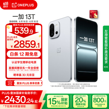 一加 OnePlus 13T 12GB+256GB 晨雾灰 性能超强小直屏 骁龙 8 至尊版 冰川电池 AI 5G游戏oppo手机
