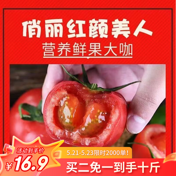 山东红果西红柿农家自种新鲜水果生吃沙瓤番茄应季蔬菜自然熟 红果西红柿 5斤