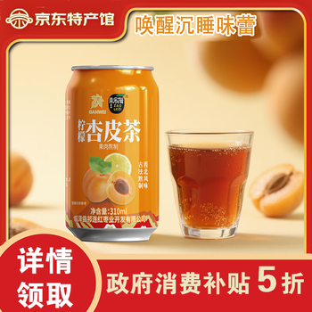 枣乐滋 甘肃临泽 柠檬杏皮茶 310ml/罐*6罐