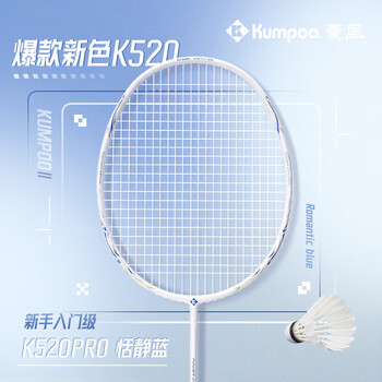 薰风 KUMPOO 羽毛球拍单拍全碳素轻耐打超轻攻守兼备拍单拍 K520PRO 白/蓝