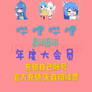 哔哩哔哩大会员一年 bilibili B站一年大会员 1年 12个月 一次到账1年(不支持电视)