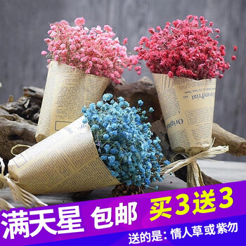 粉色满天星 (报纸包) 干花包