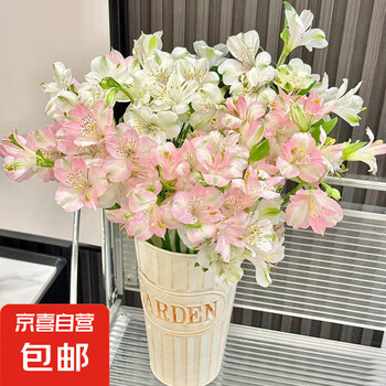 水仙百合鲜花云南直发六出花家庭水养花束切花颜色随机 2 颜色随机10支
