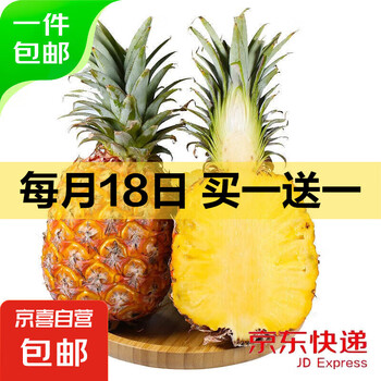 海南手撕凤梨 新鲜水果 孕妇水果时令生鲜净重整箱 2.5斤净重(单果650g起)【买一送一发5斤】