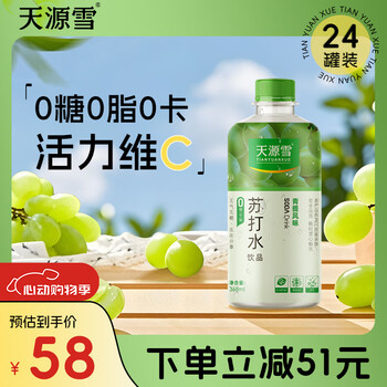天源雪 苏打水 368mL*24瓶