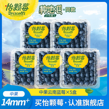 怡颗莓【尝鲜专享】云南蓝莓 国产当季 新鲜蓝莓 生鲜水果 送礼 蓝莓中果125g*5盒(14-18mm)