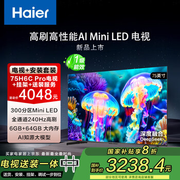 海尔包安装版【固定挂架送装一体】75H6C Pro 75英寸240Hz AI电视300分区背光MiniLED护眼游戏一级能效