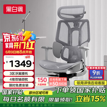 黑白调 E3结构大师 人体工学椅