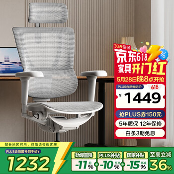 Ergonor保友优b雄鹰 电脑椅人体工学椅家用 电竞椅办公椅子靠背老板椅 【优b雄鹰X】银白网-尼龙脚 精准承托 舒适久坐