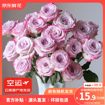 有券的上：京东鲜花 玫瑰10枝送10枝共20支色鲜花花束