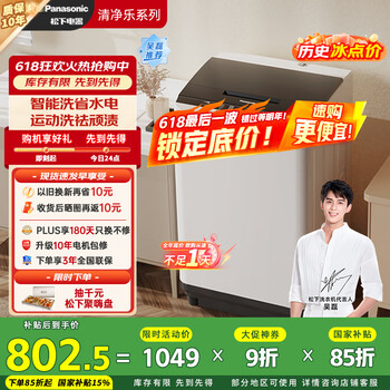 松下 Panasonic 波轮洗衣机全自动 清净乐系列10公斤大容量 线屑过滤 桶自洁免清洗耐脏 以XQB100-8Q1A