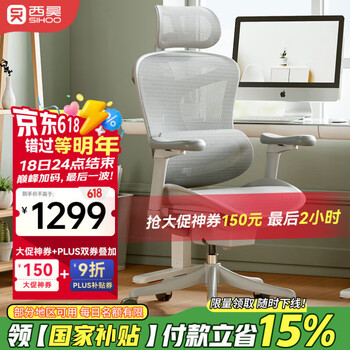 西昊 Doro C100 人体工学椅 云白
