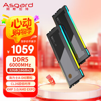 阿斯加特(Asgard)32GB(16GBx2) DDR5 6000 台式机内存条 博拉琪II代 RGB灯条 海力士A-die CL28 极夜黑