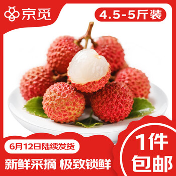 京觅 桂味荔枝4.5-5斤装单果13g+ 源头直发