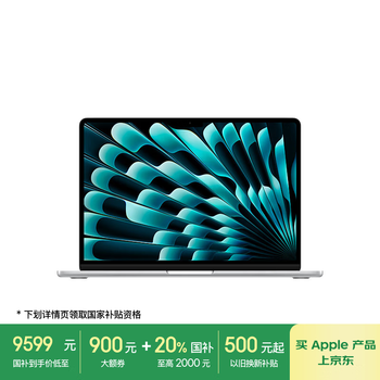 Apple/苹果【国家补贴】AI笔记本/2025款MacBookAir13英寸M4(10+10核)24G1T银色电脑Z1GS0001L