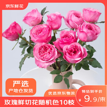 2025年9月13日更新【万能白菜价】的图片 第6张