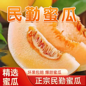 花慕辰正宗现摘现发甘肃民勤沙漠蜜瓜脆甜可口当季 4.5斤装(1-2个) 臻品民勤蜜瓜 净重4-4.5 斤