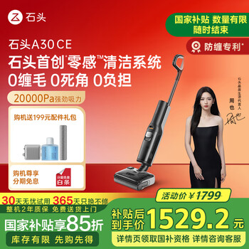 石头(roborock)A30CE洗地机0缠毛超薄180°平躺推拉助力家用除菌吸拖洗一体手持吸尘器 A30 CE