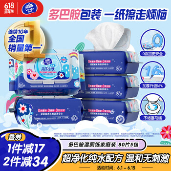 维达 湿厕纸 80片*5包