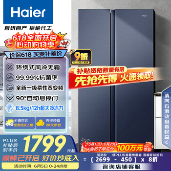 海尔 Haier 星蕴系列对开门冰箱 618L BCD-618WGHSSEDBL