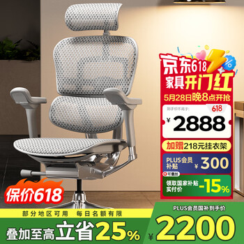 Ergonor保友金豪e 2代高端人体工学椅 电脑椅子 办公椅家用电竞椅老板椅 银白美国网 整椅发货 送货上门