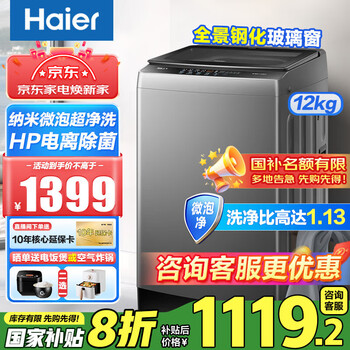 海尔 Haier 波轮洗衣机减少缠绕洗窗帘被子四大件 12公斤纳米微泡净科技+电离除菌