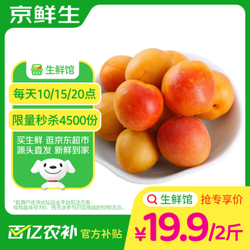 京鲜生 新疆吊干杏 净重2斤 单果12g+  新鲜水果 源头直发