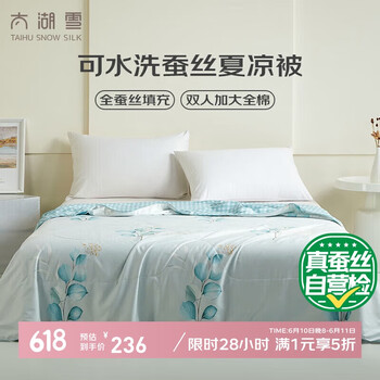 太湖雪 蚕丝凉被镜花水月200*230cm 全棉面料 可水洗