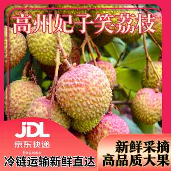 荔晓味 茂名高州妃子笑荔枝5斤装单果18g+ 净重4.5斤 单果18g+