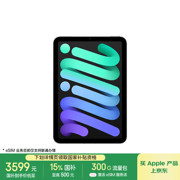 苹果 Apple iPad mini7 2024款 平板电脑（A17 Pro、256GB、5G版、深空灰色）