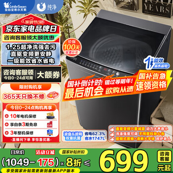 小天鹅 纯净系列 TB100V26DT 变频波轮洗衣机 10kg 金属钛