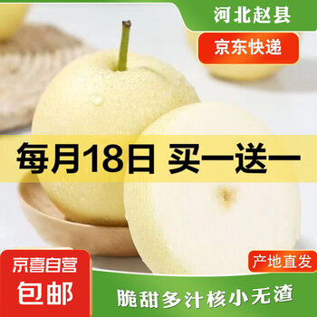 京喜加赵州皇冠梨河北皇冠梨产地直发 带箱2斤小花皮（单果200g+）