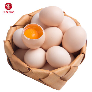 放养天农清远鸡初生蛋价格持续走高，品质优良