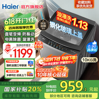 海尔 Haier 年度新品 XQB100-BZ6088 直驱波轮洗衣机 10KG